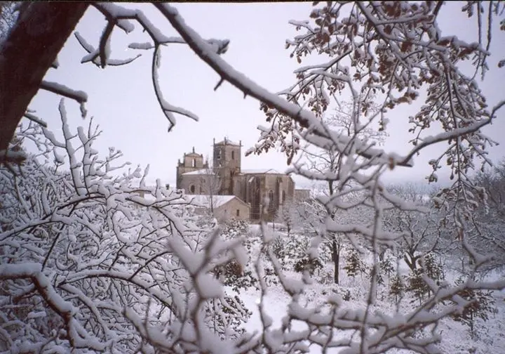 Cardeña en invierno